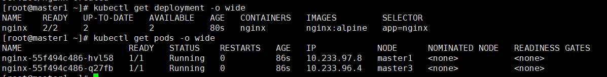 k8s Kubernetes 集群上部署 Nginx 服务器