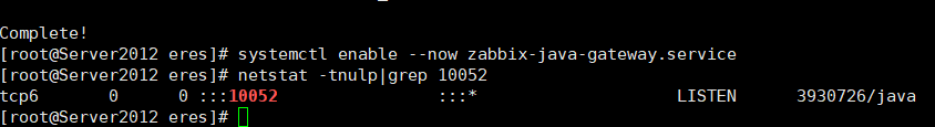 zabbix 监控 java 进程 （ java gateway）