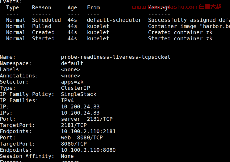 livenessProbe-readinessProbe-tcpSocket 案例