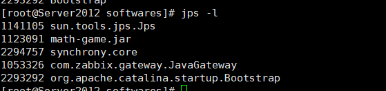 jps -l (java 进程）