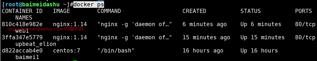 现在docker 运行的nginx 容器中，日志有2G ，如何查看最近20分钟的日志 ？（面试题）