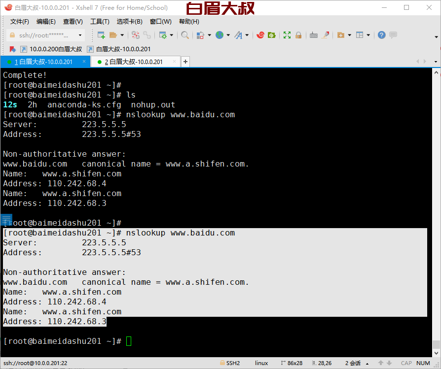 linux nslookup 命令详解 -bind-utils