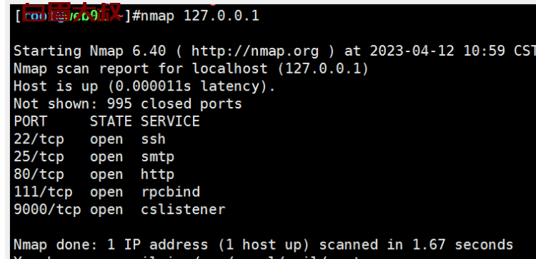 NMap 使用技巧总结 （namp 获取本机开放端口）