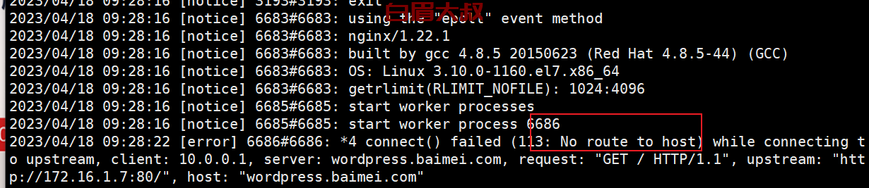 nginx no route to host