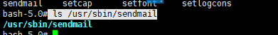 linux 邮件 sendmail （待完善，做实验）