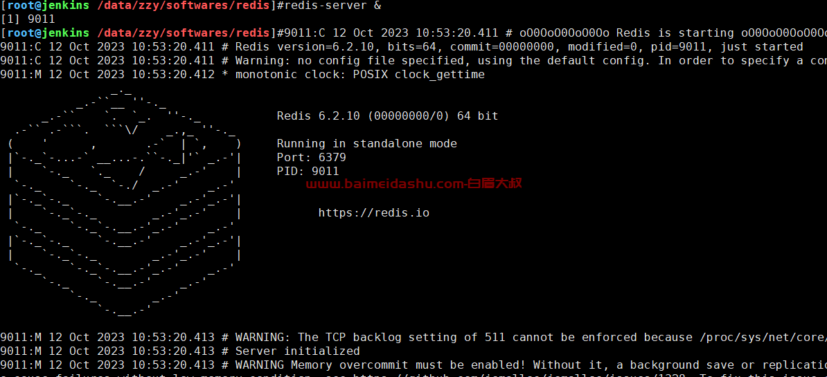redis 安装 redis-6.2.10（生产）
