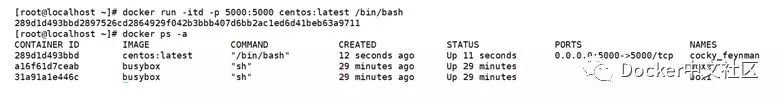 Docker存储和网络认识 第23张