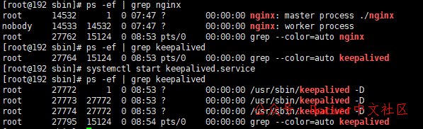 一文读懂 Nginx 第37张