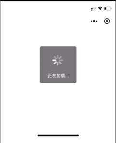 loading iOS 示意