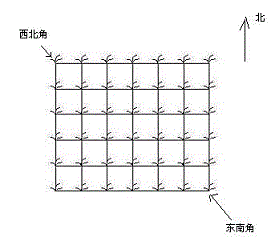 花生地