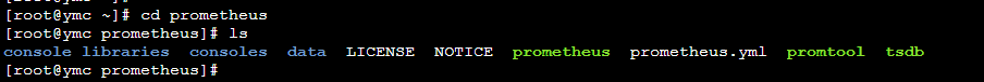进入prometheus目录
