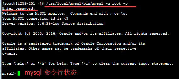 VPS建站：Mysql数据库日志大量占用磁盘空间导致速度缓慢