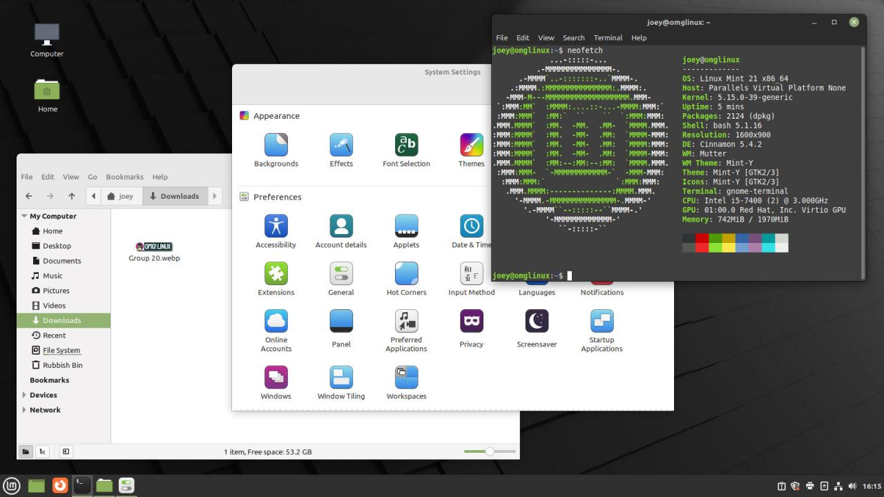 Linux Mint 21 Beta 测试版发布