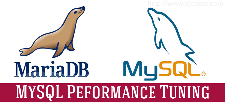 15 个有用的 MySQL/MariaDB 性能调整和优化技巧