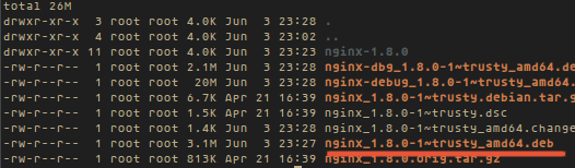 nginx builded with pagespeed