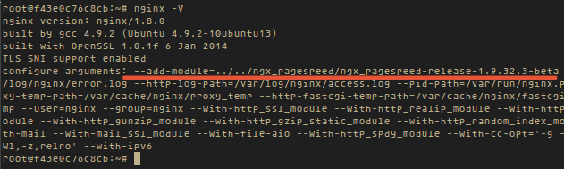 nginx -V