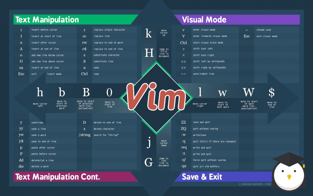 在 Vim 中进行文本选择操作和使用标志