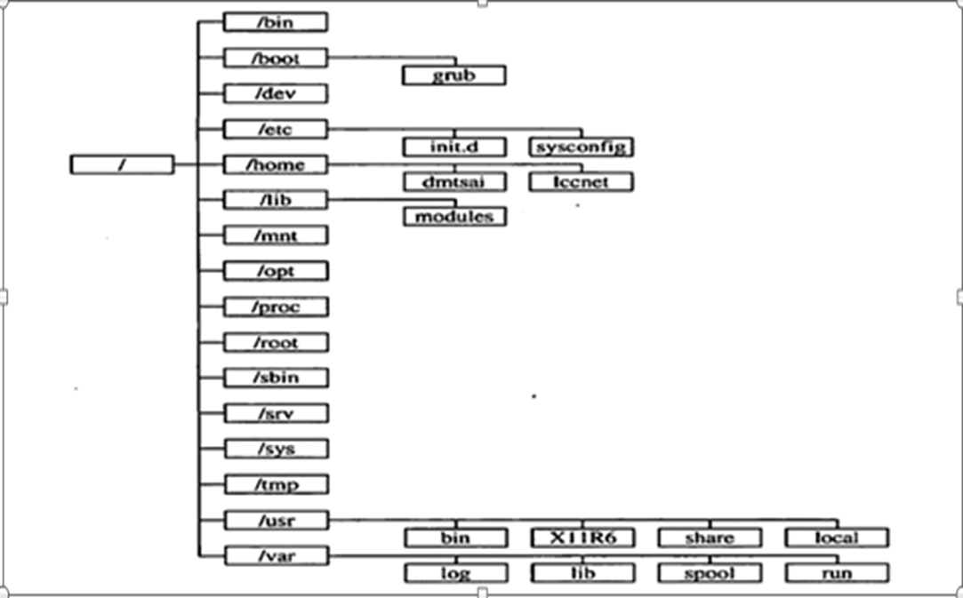 Linux系统目录和结构